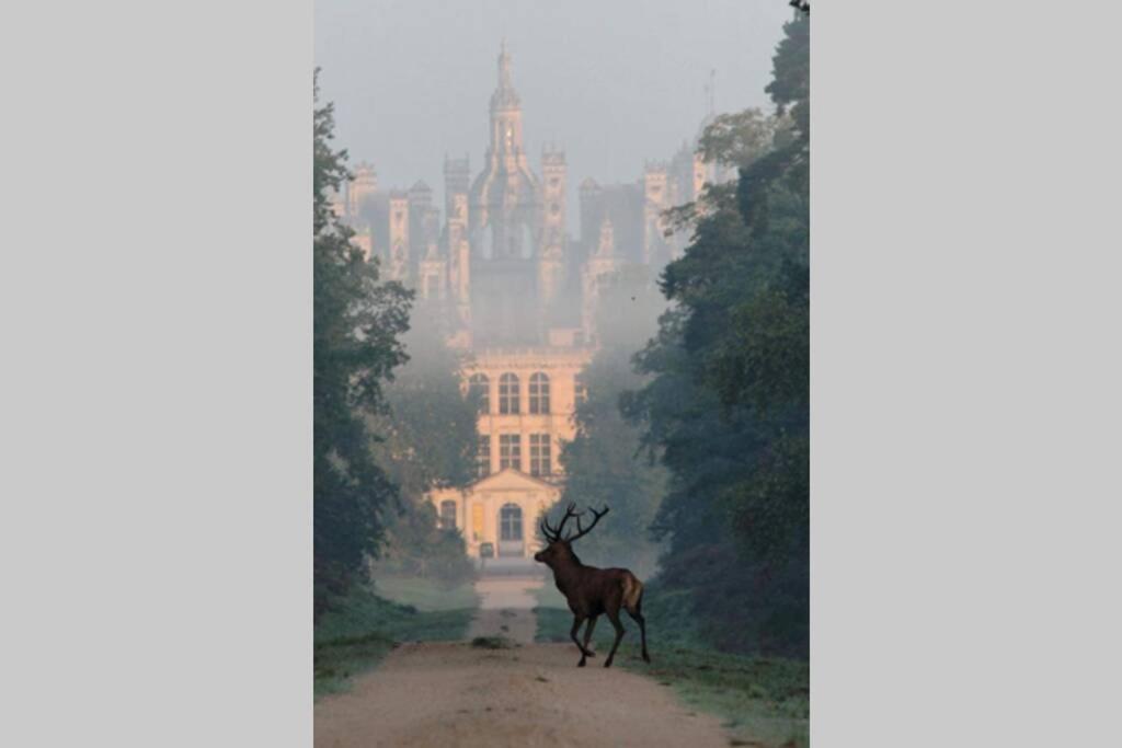 Les Bruyeres De Jeanne Et Rene Zoo De Beauval A 20Min,Chateaux Tout Inclus Fontguenand Экстерьер фото